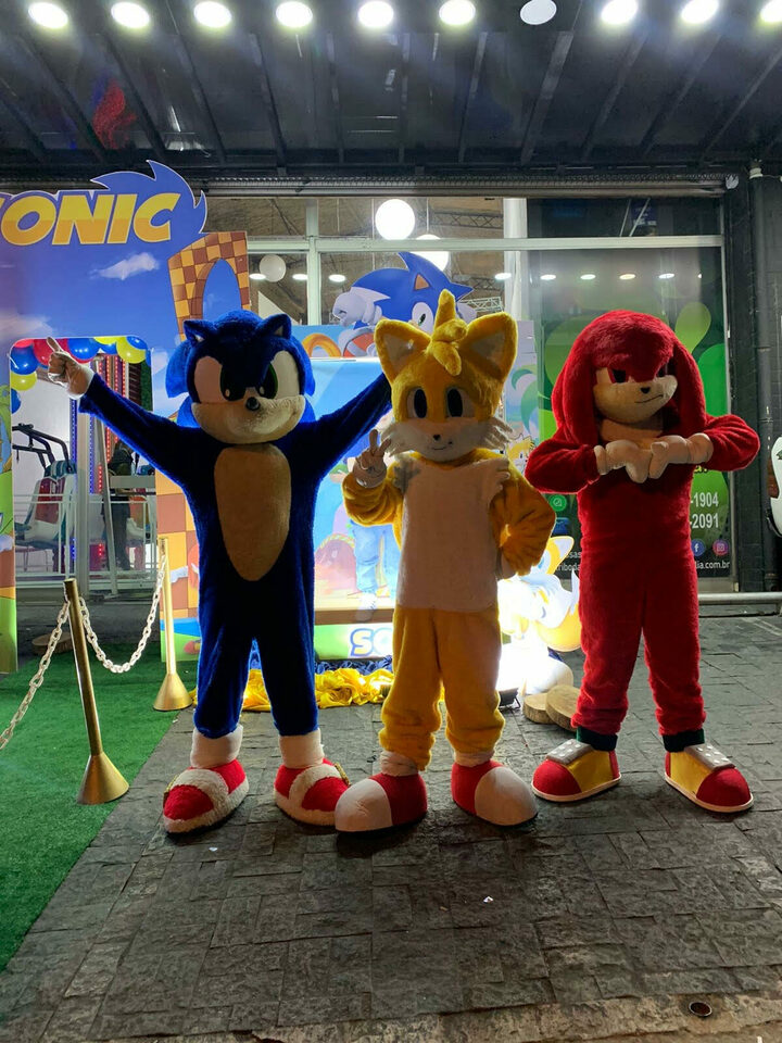 Turma do Sonic 