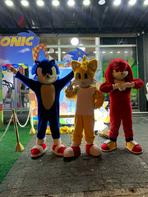 Turma do Sonic 